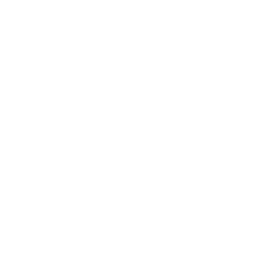 PositionBird logo