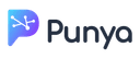 Punya AI logo