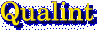 Qualint logo