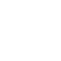 Racoons.ai logo