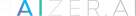 Raizer logo