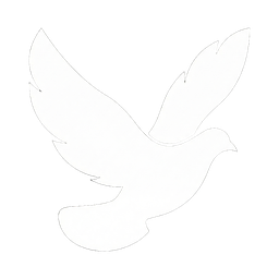 ReplyRaven logo