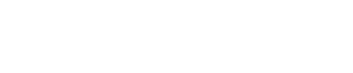 Repobird logo