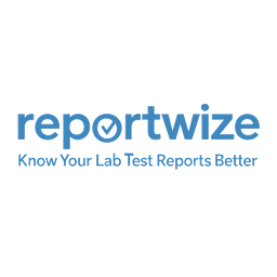 ReportWize logo