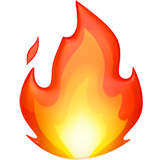 RoastMyBiz logo