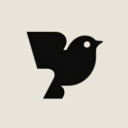 Robin AI logo
