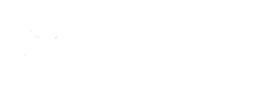 Saidar 2.0 logo
