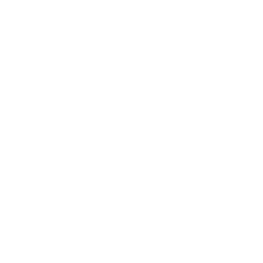 Seedance 2.5 Video AI logo