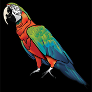 SkyChart logo