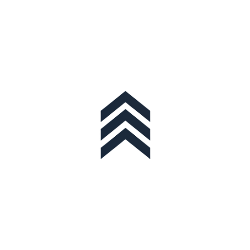 StartupOps AI logo