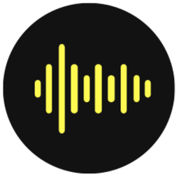 StenifyAI logo