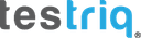 Testriq QA Lab logo