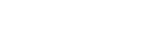 TOPVIEW logo