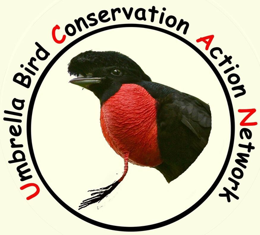 Umbrellabird logo