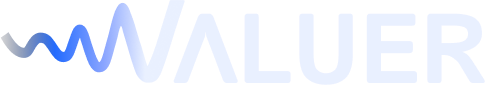 Valuer.ai logo