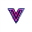 Vidgo API logo
