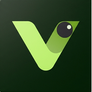 Visly logo