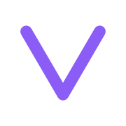 VizyReport logo