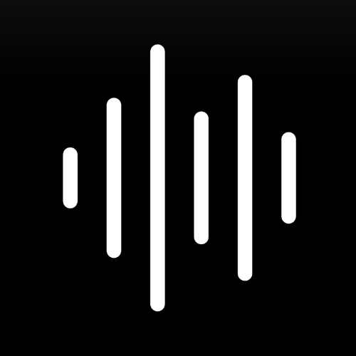 VoiceX logo