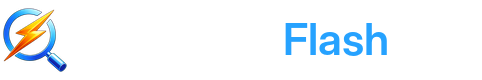 WebAuditFlash logo