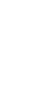 Wispli logo