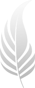 Word Studio logo