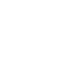 WordPolish logo