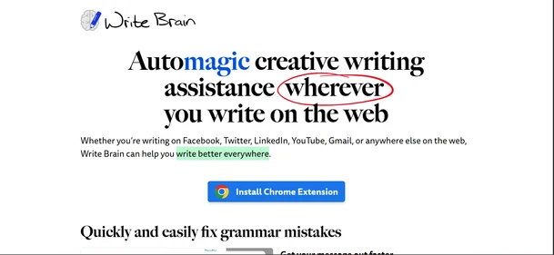 Write Brain logo