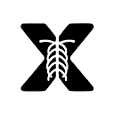 X-ray Interpreter logo