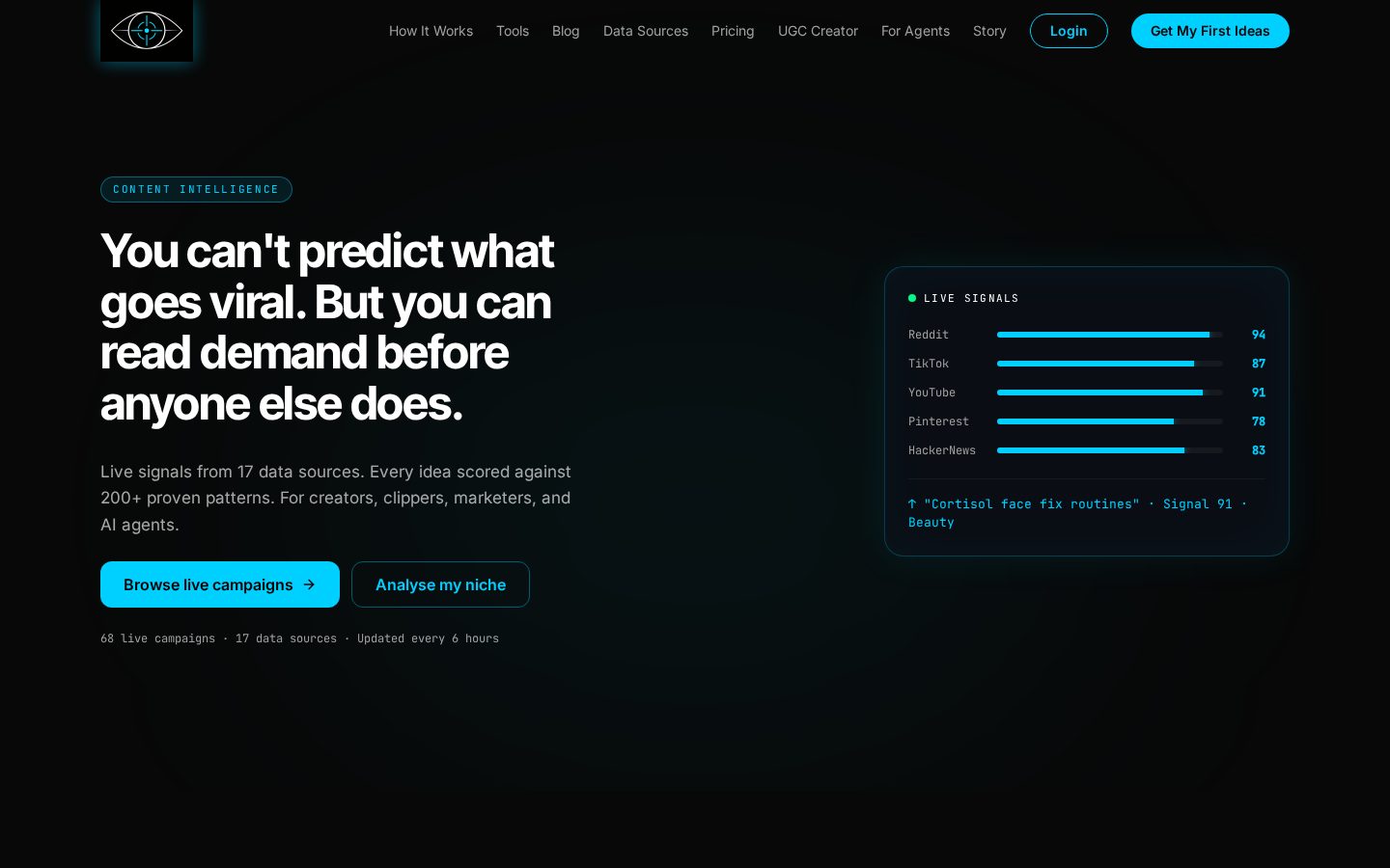 Agentic Eye Homepage