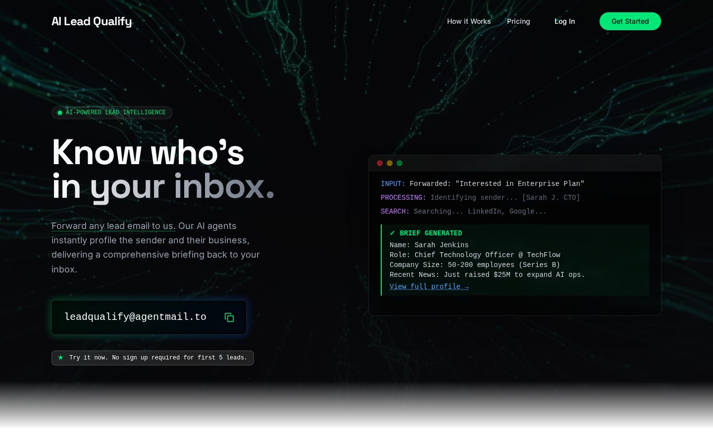 AI Lead Qualify Homepage