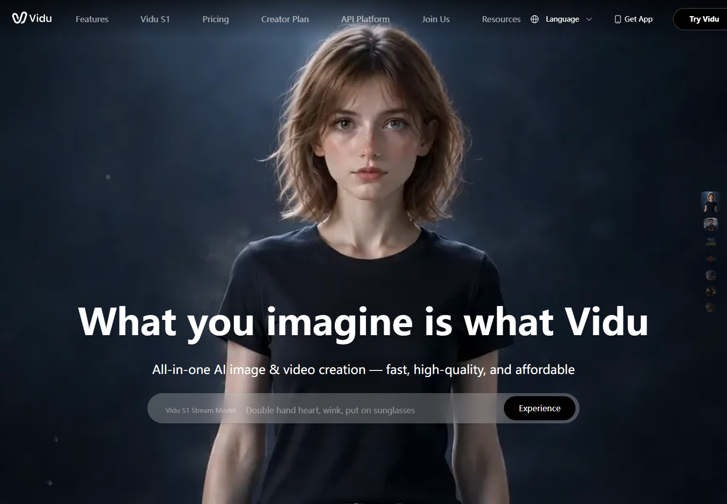 AI Video Generator for Text, Image & Reference Videos homepage