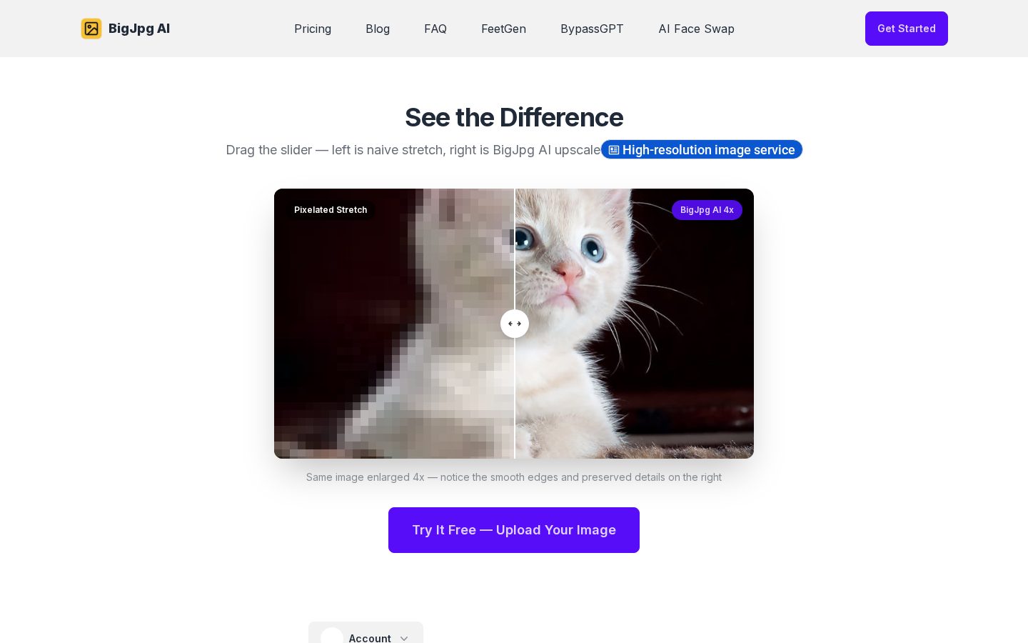 BigJpg AI Homepage