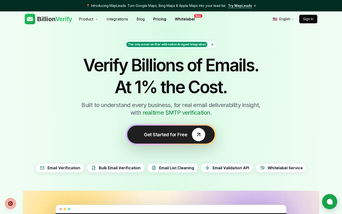 BillionVerify Homepage