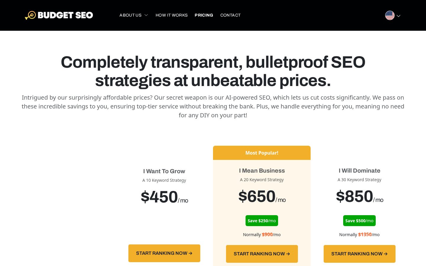 Budget SEO Pricing