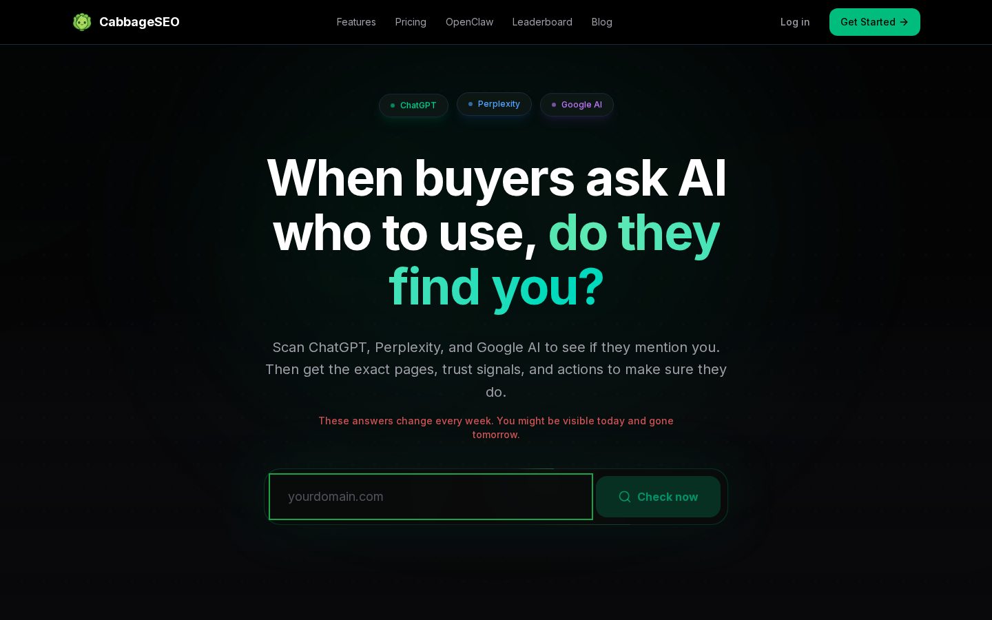CabbageSEO Homepage