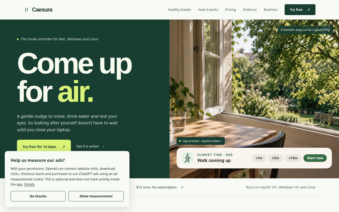 Caesura Homepage