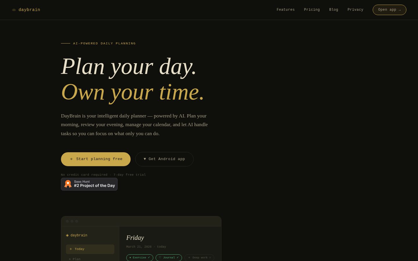DayBrain Homepage
