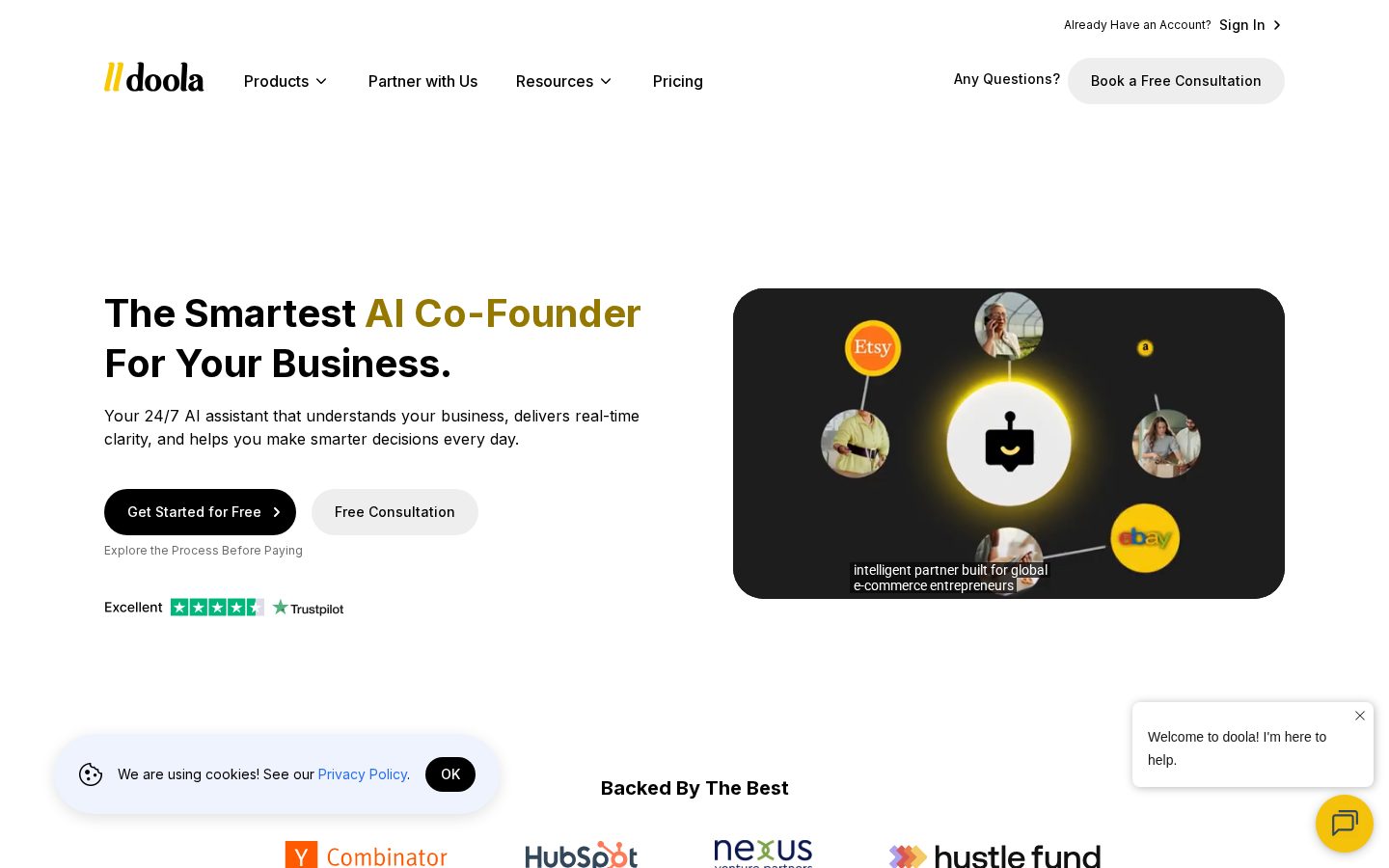 doola: AI Co-Founder Homepage