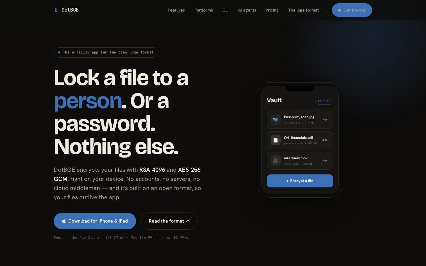 DotBGE Homepage