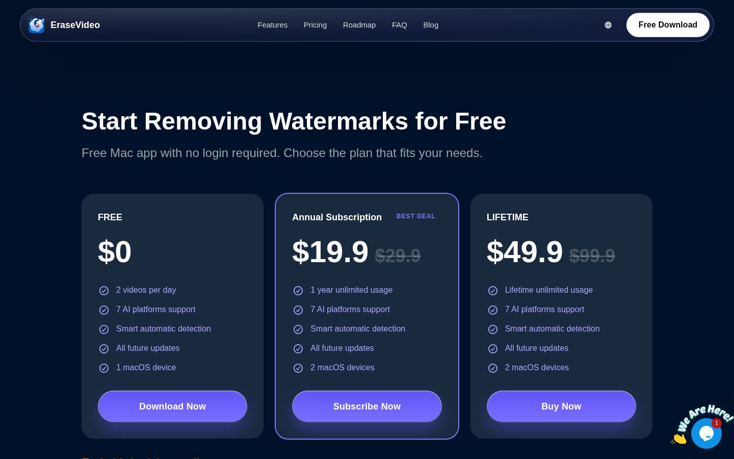 EraseVideo Pricing
