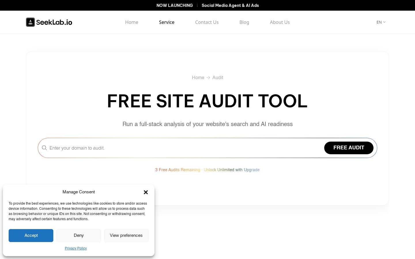 Free Website Audit Tool Homepage