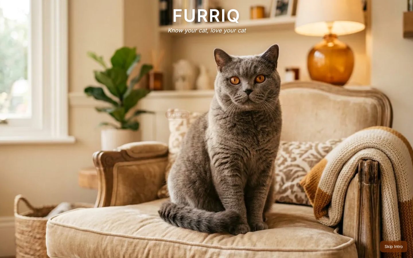 FURRIQ Homepage