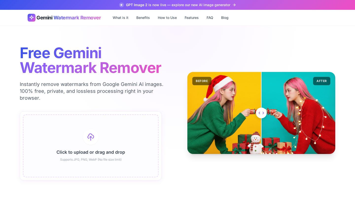 Gemini Watermark Remover Homepage