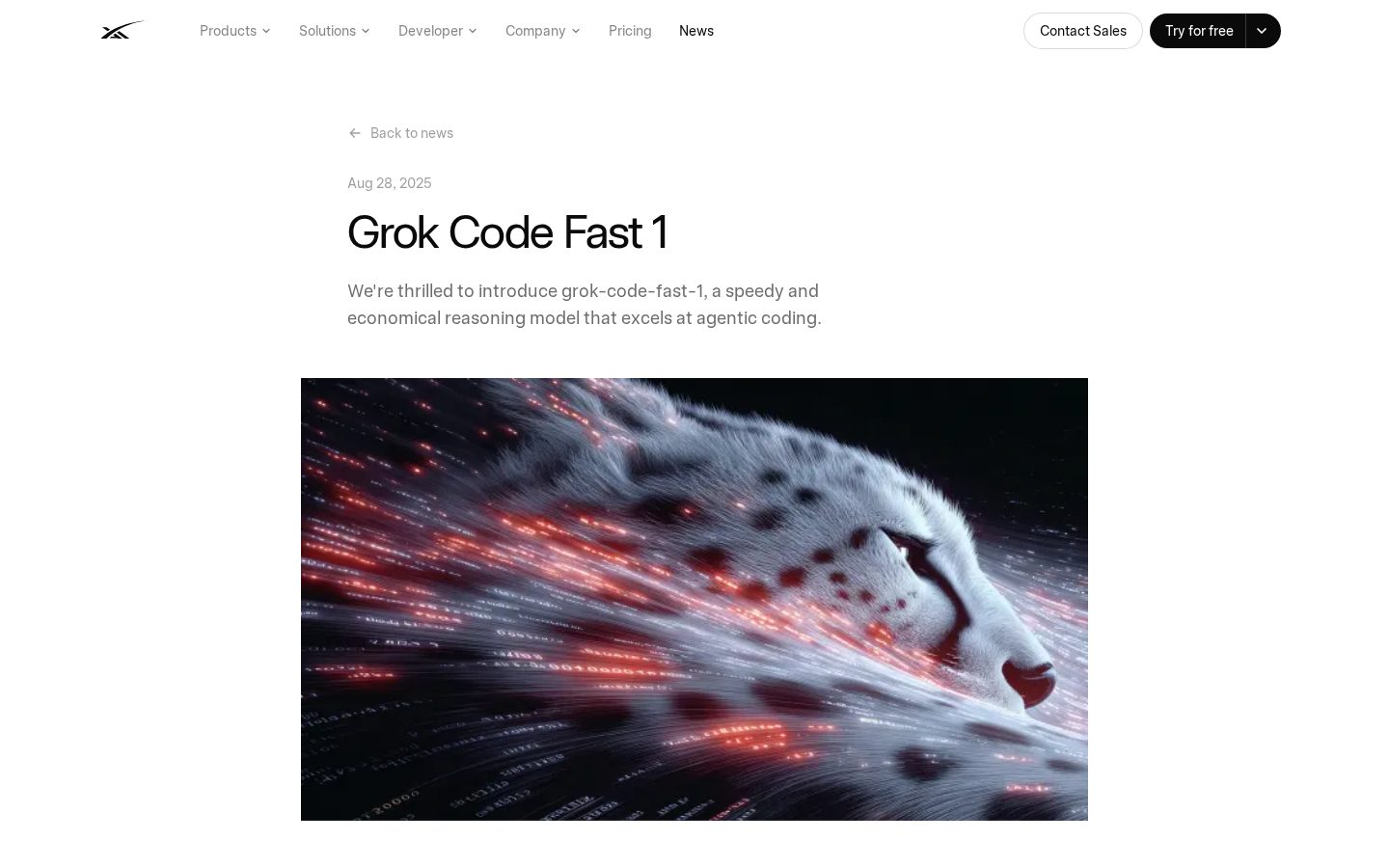 Grok Code Fast 1 Homepage