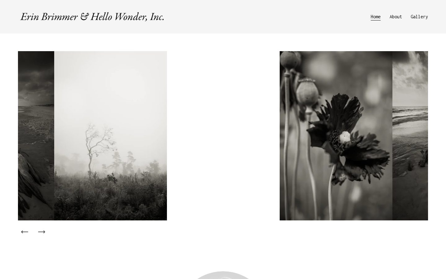 Hello Wonder Homepage