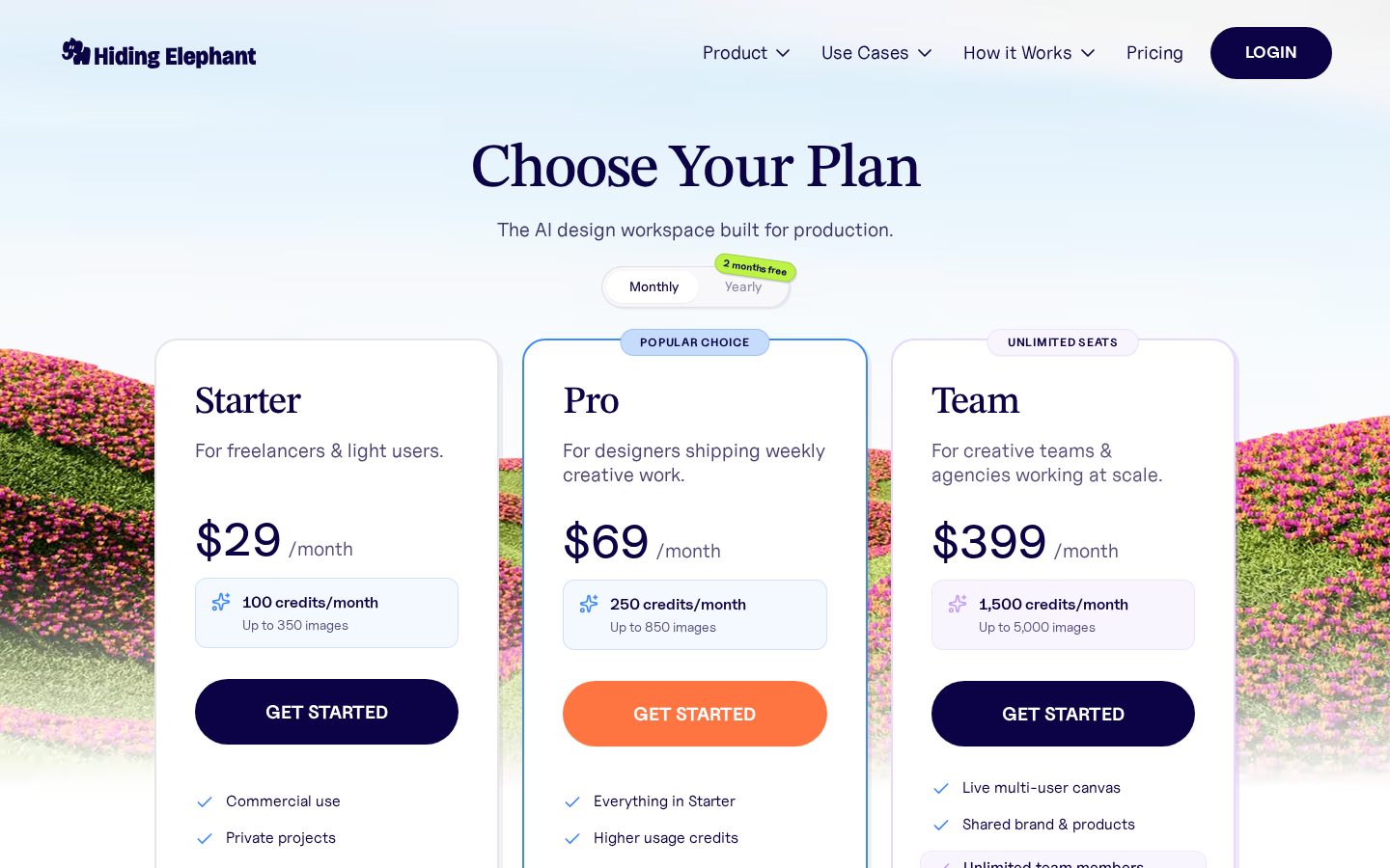 Hiding Elephant Pricing