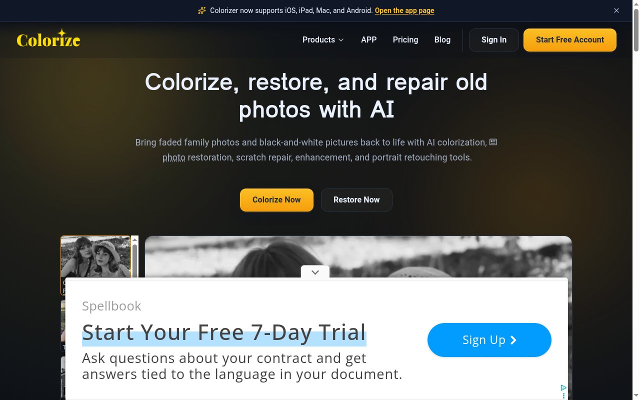 ImageColorizer homepage