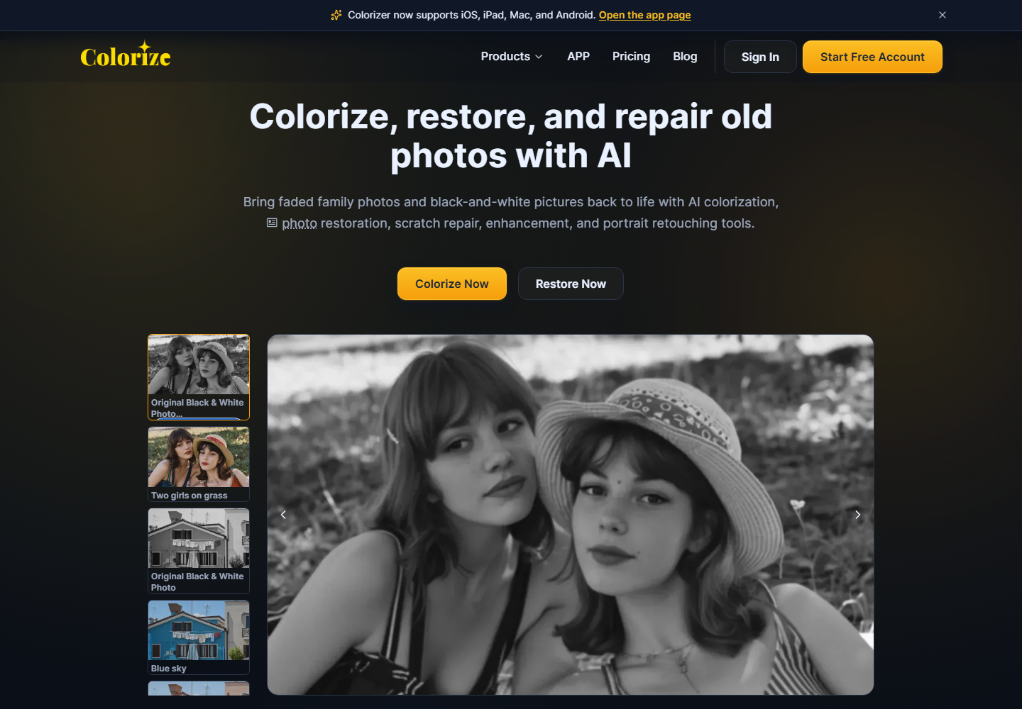 ImageColorizer homepage