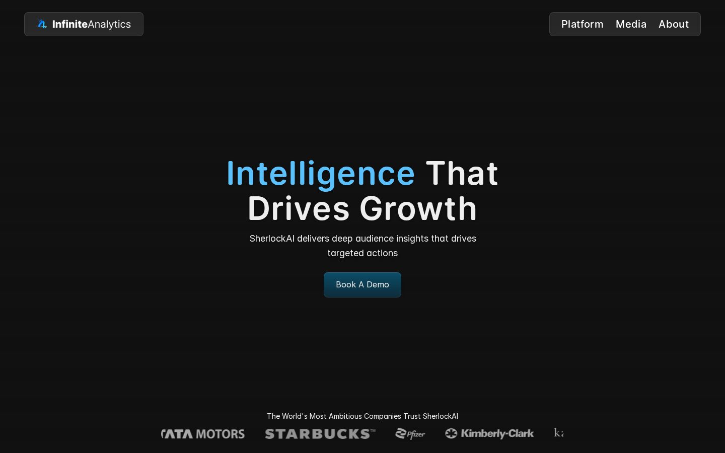 Infinite Analytics Homepage